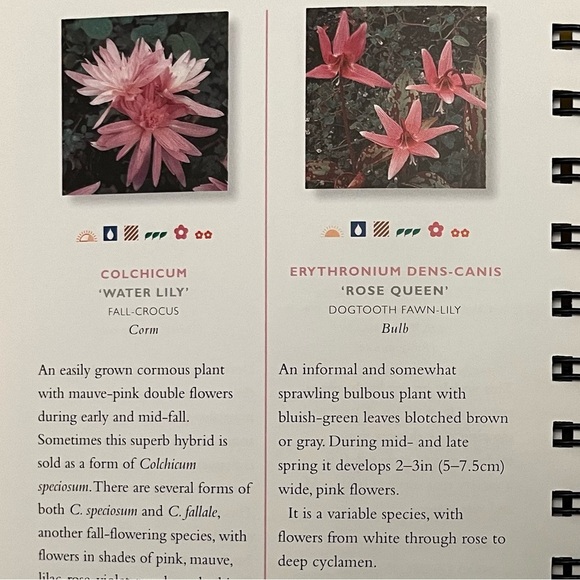 Colour by Colour plant Book Directory BC Publisher Care & planting guidance - Picture 10 of 13